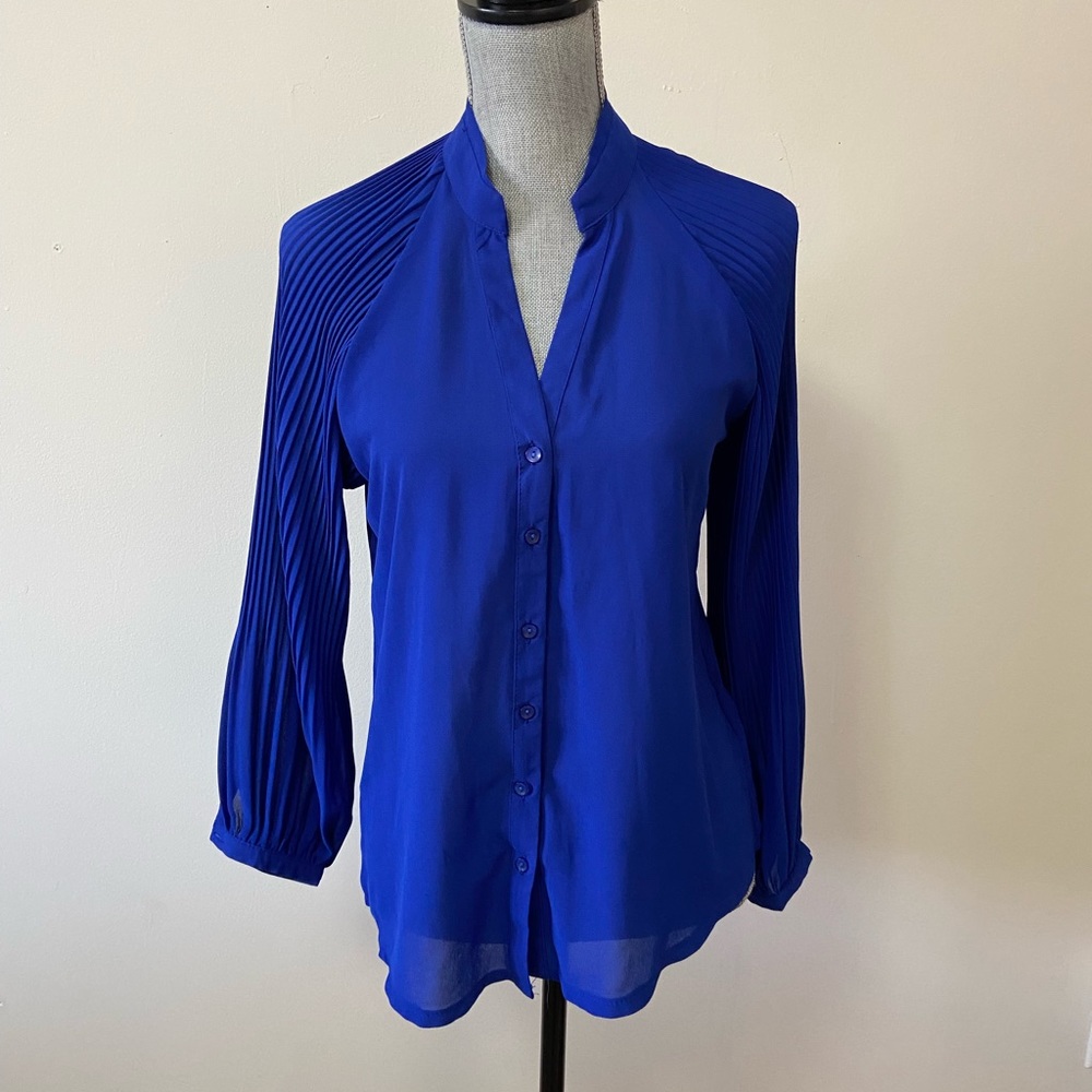 Blue Pleated Sleeves Blouse